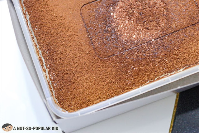 Large tray of Mascarpone Cake By Benassi